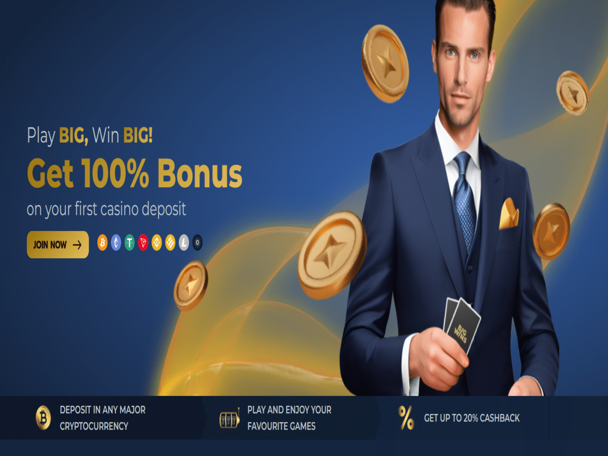 BigWins Gambling Enterprise Review BigWins Gambling Enterprise Review
