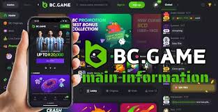 Exploring BC.Game Online Platform A Comprehensive Review