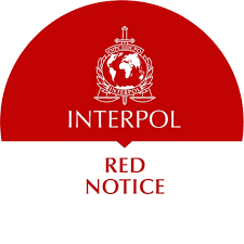 Red Notice Removal Lawyers Your Shield Against International Legal Challenges