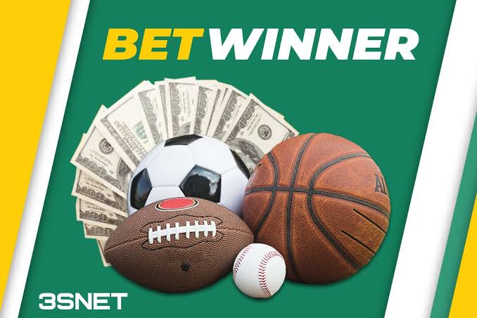 Comprehensive BetWinner Review Everything You Need to Know