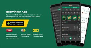 Join the BetWinner Affiliate Program Unlock Earned Income Today!