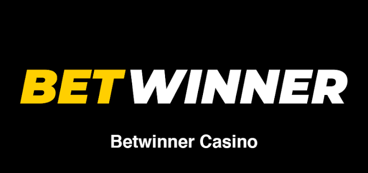 Everything You Need to Know About BetWinner Platform